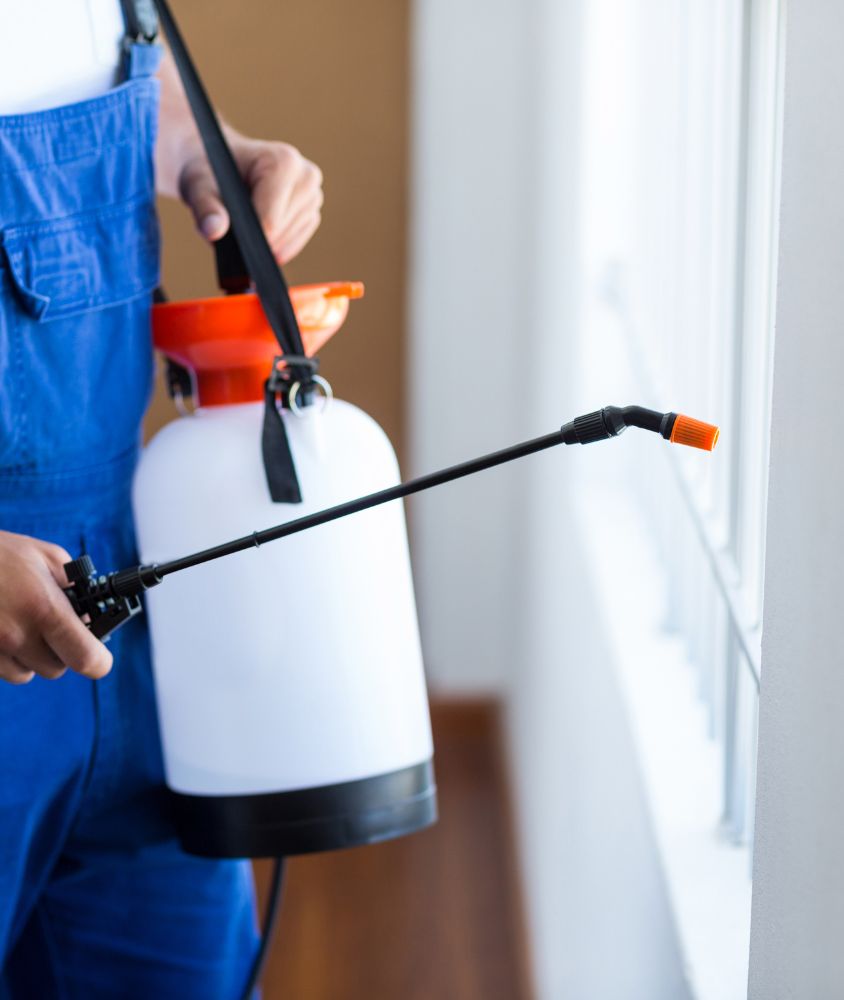 dedetizador em Duque de Caxias